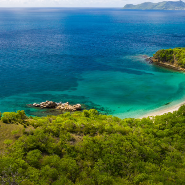 press releases, Press